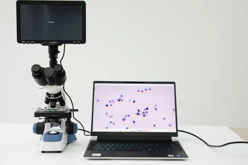 رقم الصورة 20240228145312