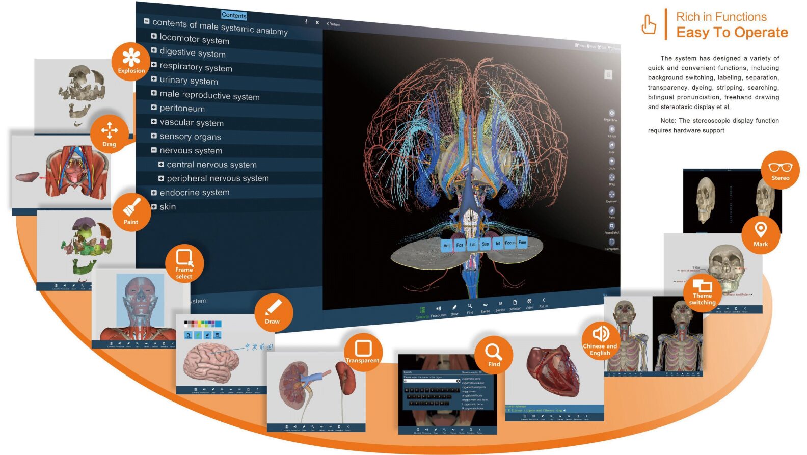 Digital Human Body Autopsy Virtual Touch Screen 3D | AMIS MEDICAL