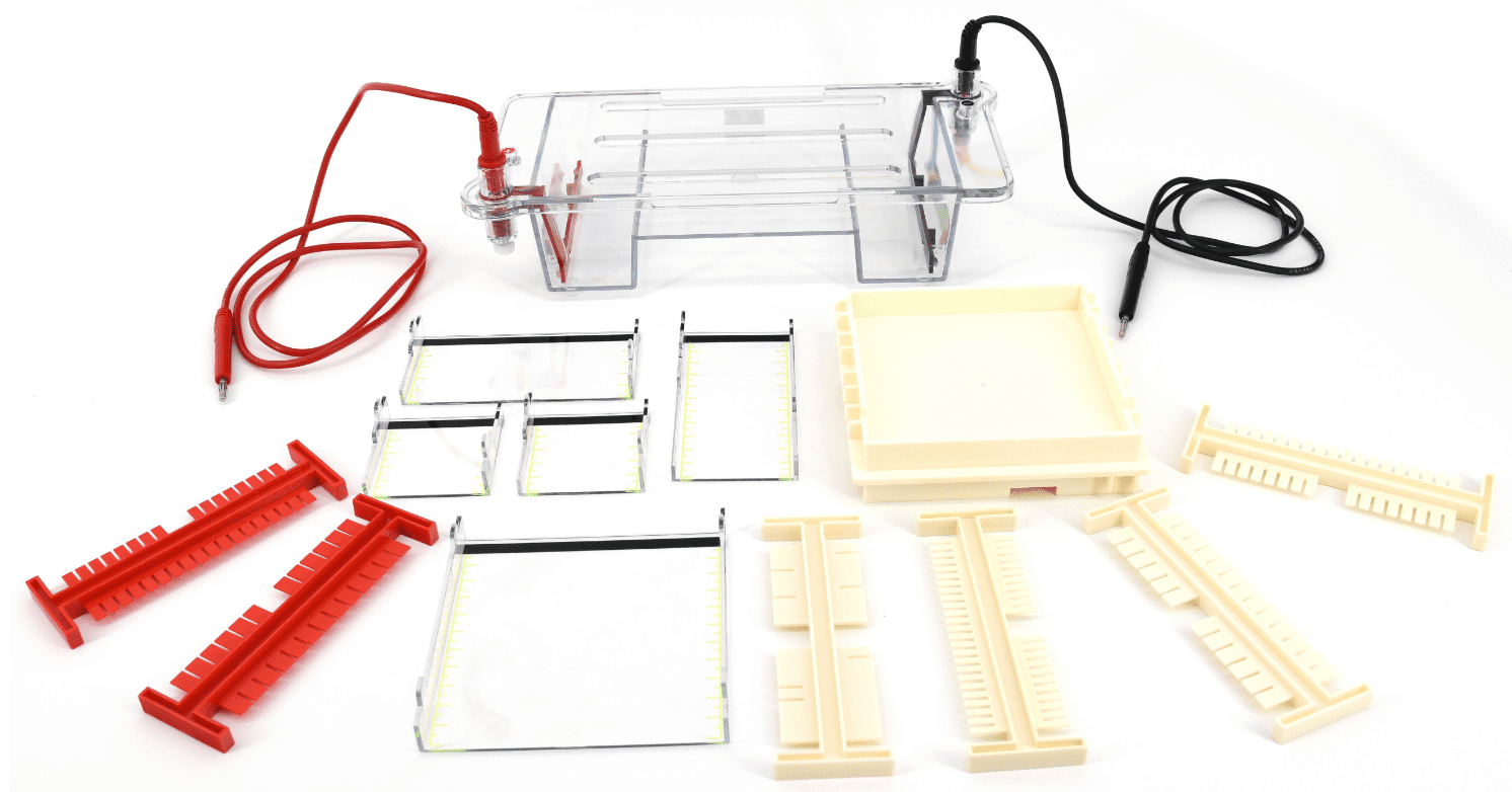 Ячейка горизонтального электрофореза