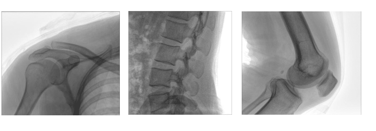 AM 118C Bras C tout en un avec FPD 2
